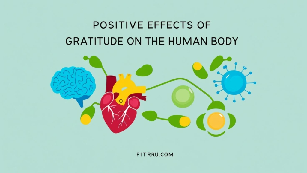 Infographic showing body areas positively affected by gratitude (brain heart immune system etc )